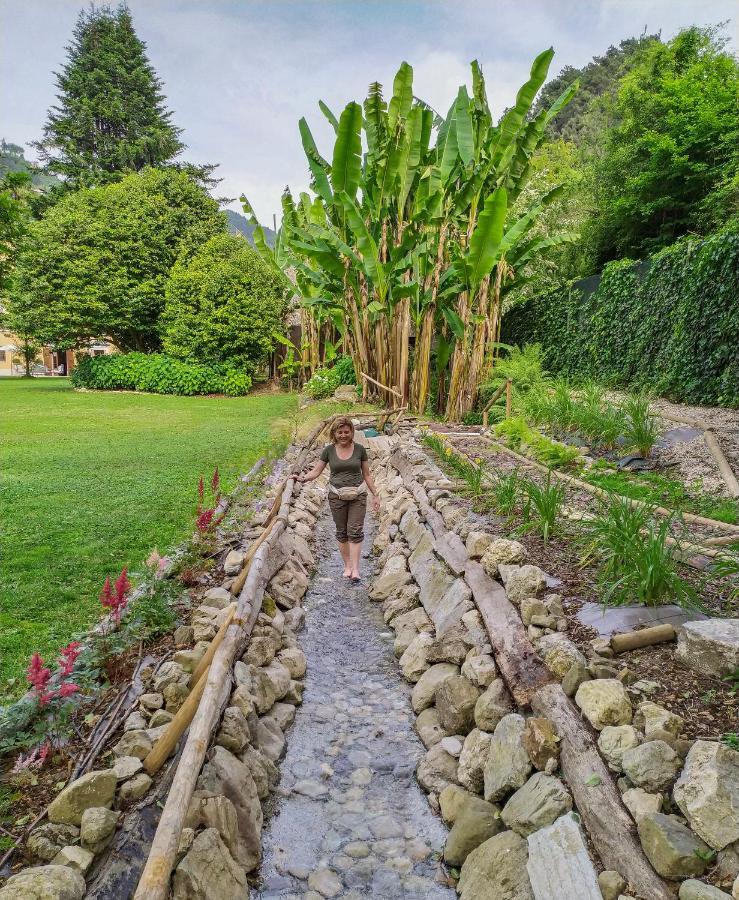Relais Corte Rodeschi Camaiore Exterior foto